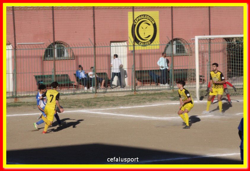 200216 Cepha_Akragas 119.jpg